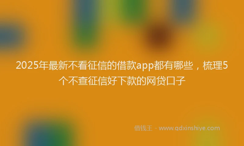 2025年最新不看征信的借款app都有哪些，梳理5个不查征信好下款的网贷口子