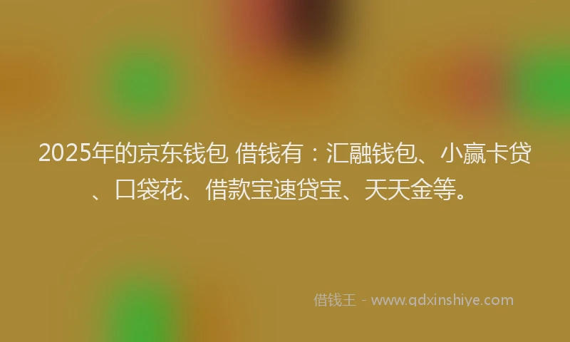 2025年的京东钱包 借钱有：汇融钱包、小赢卡贷、口袋花、借款宝速贷宝、天天金等。