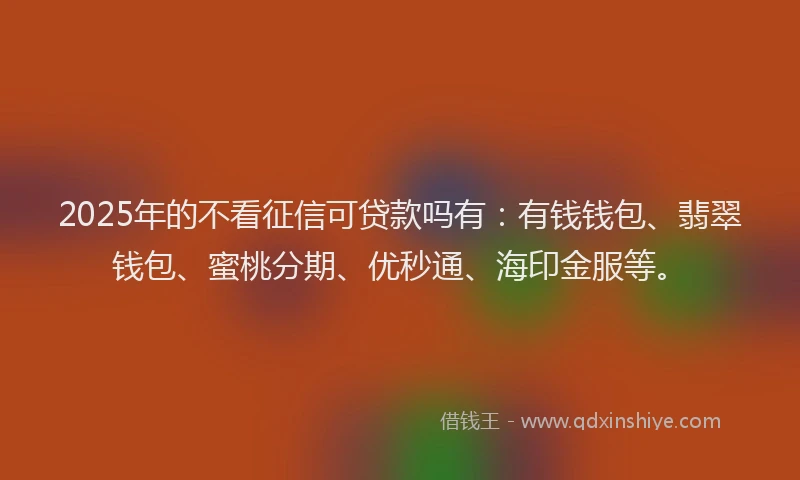 2025年的不看征信可贷款吗有：有钱钱包、翡翠钱包、蜜桃分期、优秒通、海印金服等。