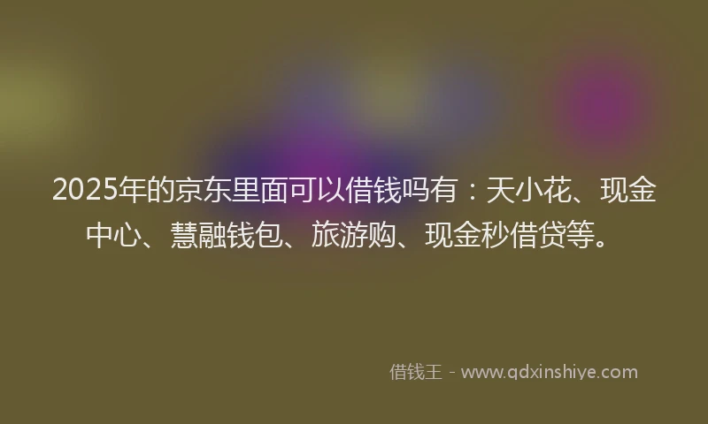 2025年的京东里面可以借钱吗有：天小花、现金中心、慧融钱包、旅游购、现金秒借贷等。