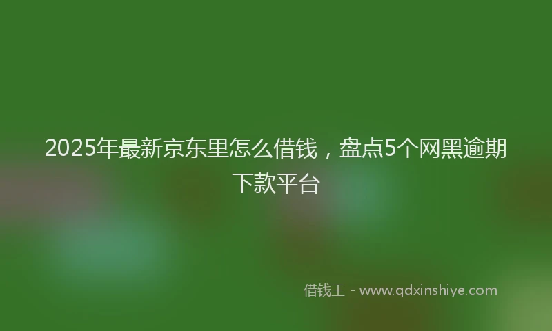 2025年最新京东里怎么借钱，盘点5个网黑逾期下款平台