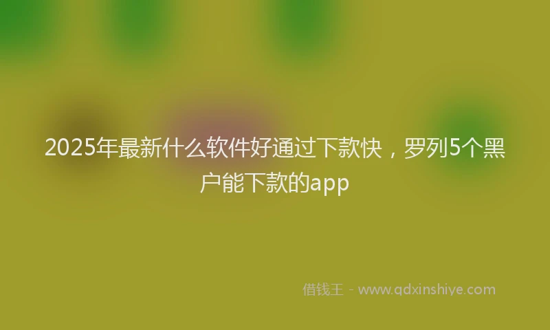 2025年最新什么软件好通过下款快，罗列5个黑户能下款的app