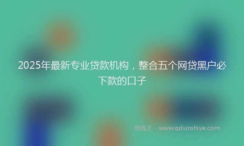 2025年最新专业贷款机构，整合五个网贷黑户必下款的口子