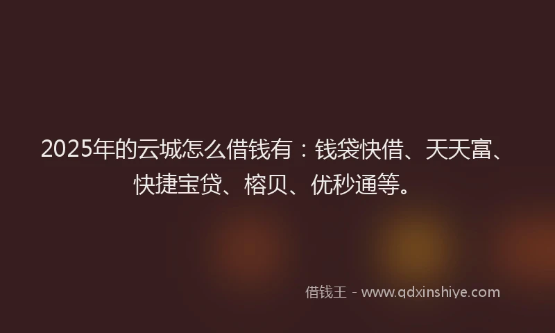 2025年的云城怎么借钱有：钱袋快借、天天富、快捷宝贷、榕贝、优秒通等。
