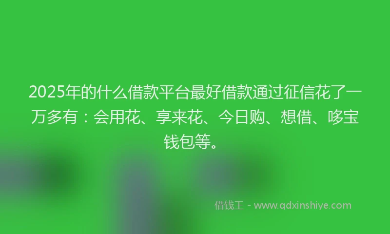 2025年的什么借款平台最好借款通过征信花了一万多有：会用花、享来花、今日购、想借、哆宝钱包等。