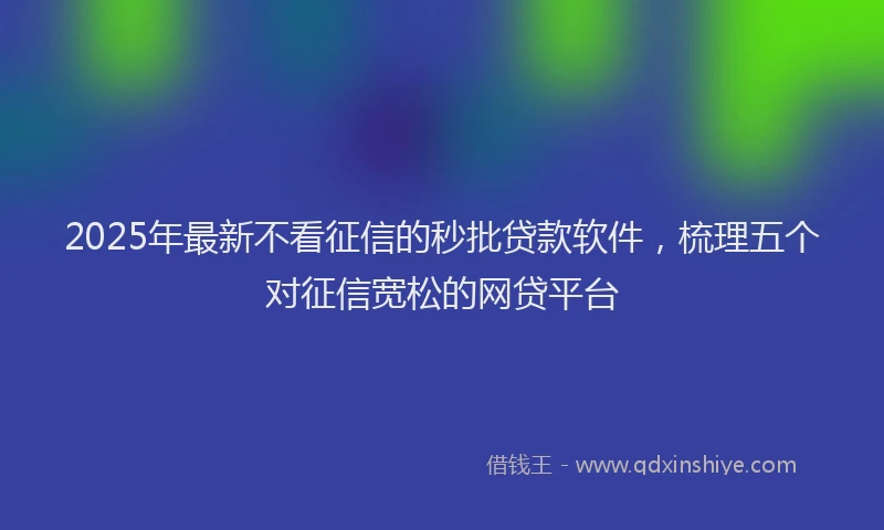 2025年最新不看征信的秒批贷款软件，梳理五个对征信宽松的网贷平台