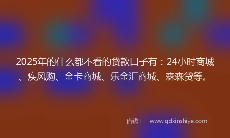2025年的什么都不看的贷款口子有：24小时商城、疾风购、金卡商城、乐金汇商城、森森贷等。