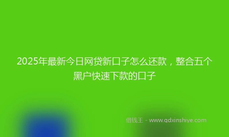 2025年最新今日网贷新口子怎么还款，整合五个黑户快速下款的口子