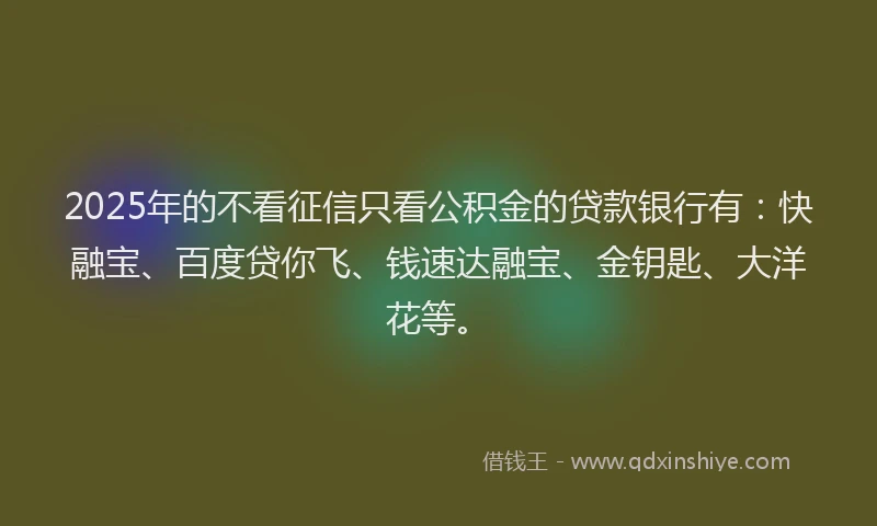 2025年的不看征信只看公积金的贷款银行有：快融宝、百度贷你飞、钱速达融宝、金钥匙、大洋花等。