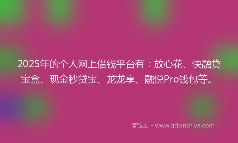 2025年的个人网上借钱平台有：放心花、快融贷宝盒、现金秒贷宝、龙龙享、融悦Pro钱包等。