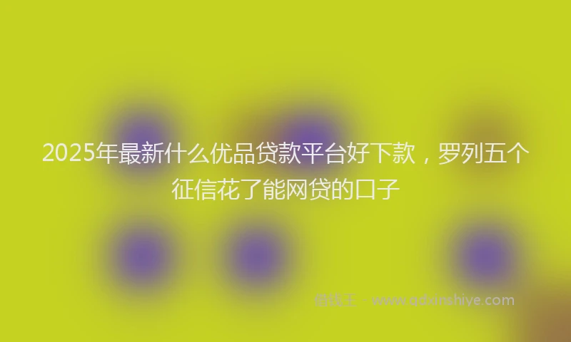 2025年最新什么优品贷款平台好下款，罗列五个征信花了能网贷的口子