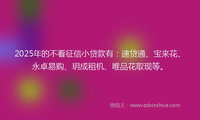 2025年的不看征信小贷款有：速贷通、宝来花、永卓易购、玥成租机、唯品花取现等。