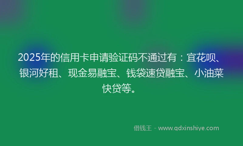 2025年的信用卡申请验证码不通过有：宜花呗、银河好租、现金易融宝、钱袋速贷融宝、小油菜快贷等。