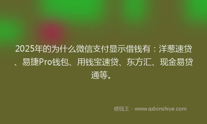 2025年的为什么微信支付显示借钱有：洋葱速贷、易捷Pro钱包、用钱宝速贷、东方汇、现金易贷通等。