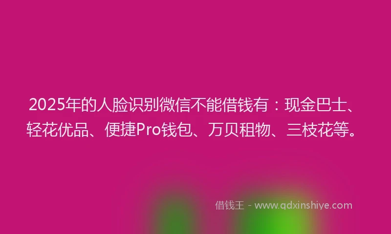 2025年的人脸识别微信不能借钱有：现金巴士、轻花优品、便捷Pro钱包、万贝租物、三枝花等。