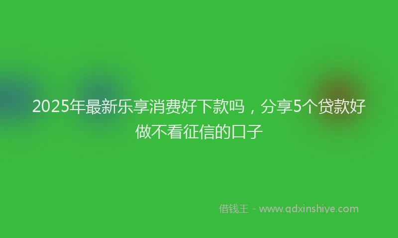2025年最新乐享消费好下款吗，分享5个贷款好做不看征信的口子