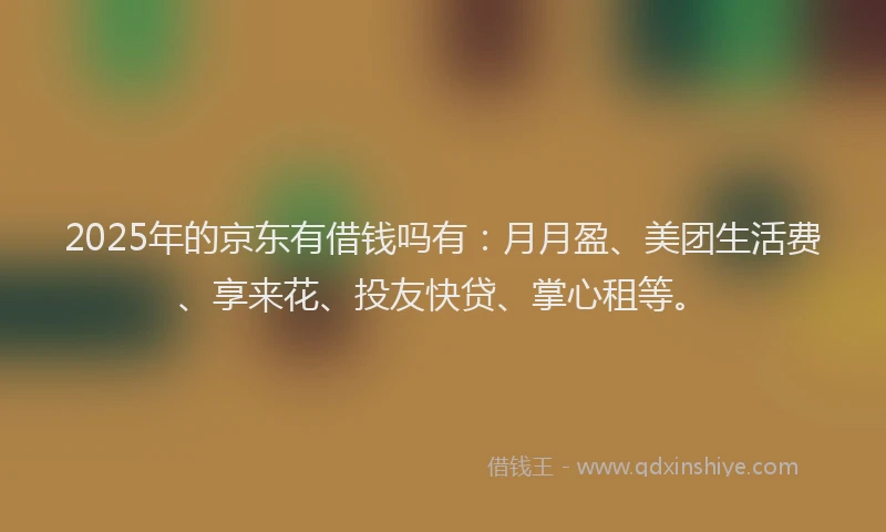 2025年的京东有借钱吗有：月月盈、美团生活费、享来花、投友快贷、掌心租等。