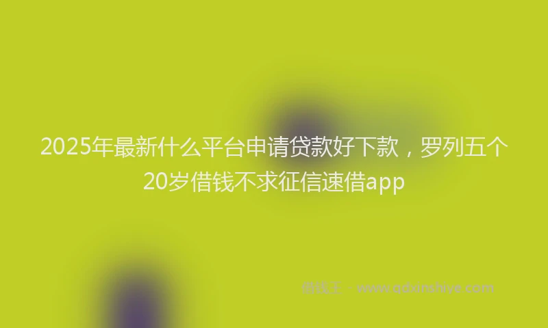 2025年最新什么平台申请贷款好下款，罗列五个20岁借钱不求征信速借app