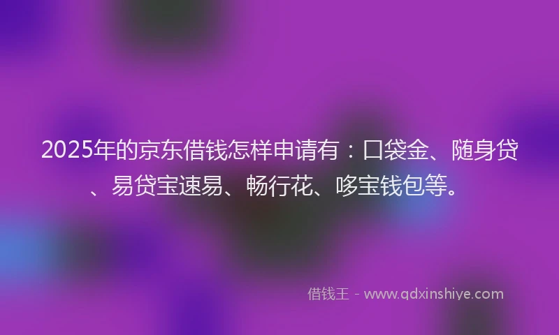 2025年的京东借钱怎样申请有：口袋金、随身贷、易贷宝速易、畅行花、哆宝钱包等。