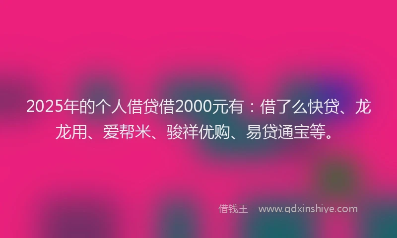 2025年的个人借贷借2000元有：借了么快贷、龙龙用、爱帮米、骏祥优购、易贷通宝等。
