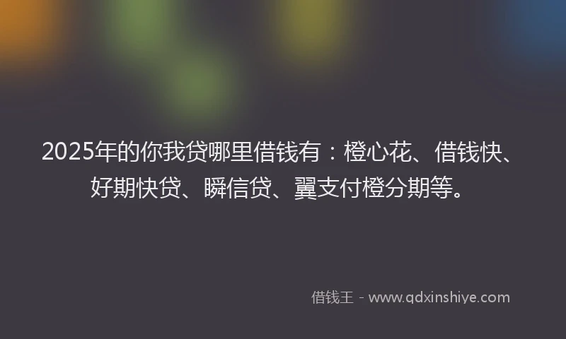 2025年的你我贷哪里借钱有：橙心花、借钱快、好期快贷、瞬信贷、翼支付橙分期等。