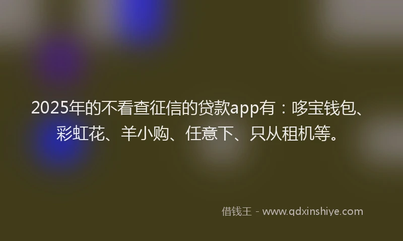 2025年的不看查征信的贷款app有：哆宝钱包、彩虹花、羊小购、任意下、只从租机等。