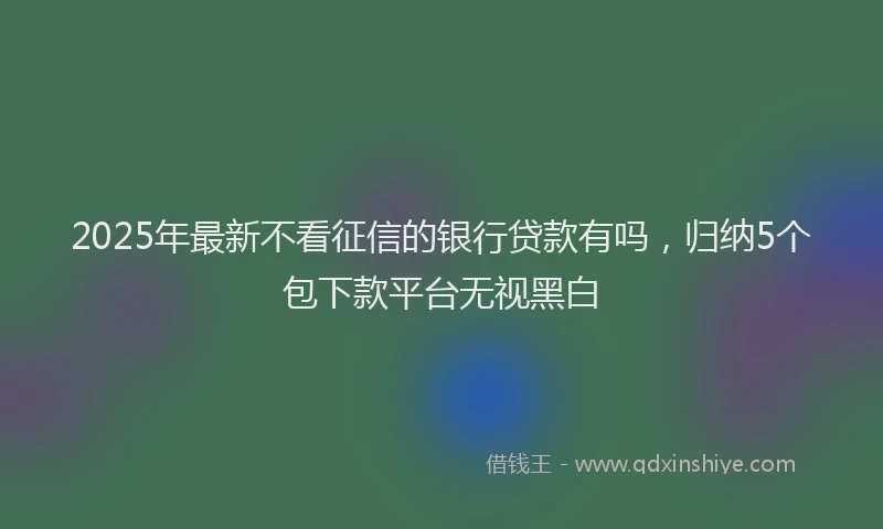 2025年最新不看征信的银行贷款有吗，归纳5个包下款平台无视黑白