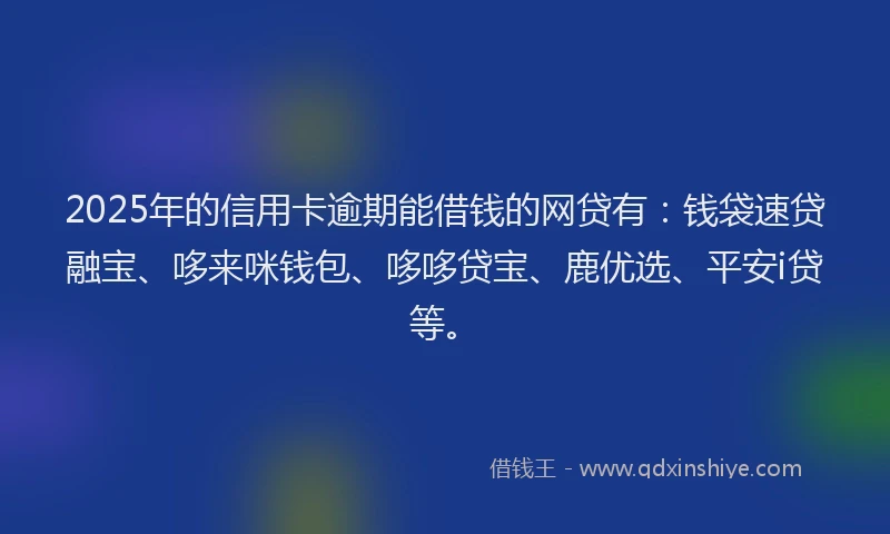 2025年的信用卡逾期能借钱的网贷有：钱袋速贷融宝、哆来咪钱包、哆哆贷宝、鹿优选、平安i贷等。