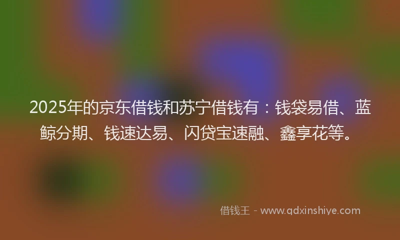 2025年的京东借钱和苏宁借钱有：钱袋易借、蓝鲸分期、钱速达易、闪贷宝速融、鑫享花等。