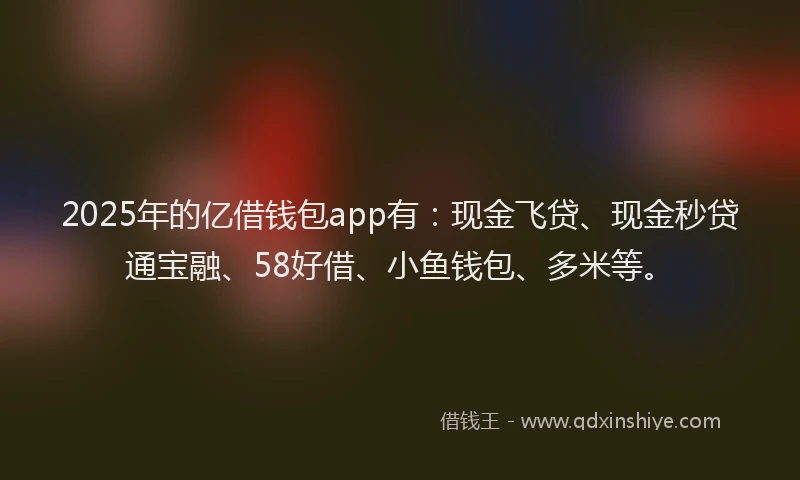 2025年的亿借钱包app有：现金飞贷、现金秒贷通宝融、58好借、小鱼钱包、多米等。