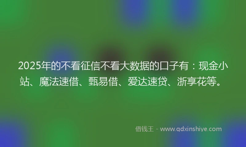 2025年的不看征信不看大数据的口子有：现金小站、魔法速借、甄易借、爱达速贷、浙享花等。