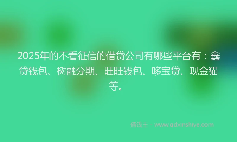 2025年的不看征信的借贷公司有哪些平台有：鑫贷钱包、树融分期、旺旺钱包、哆宝贷、现金猫等。