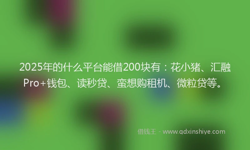 2025年的什么平台能借200块有：花小猪、汇融Pro+钱包、读秒贷、蛮想购租机、微粒贷等。