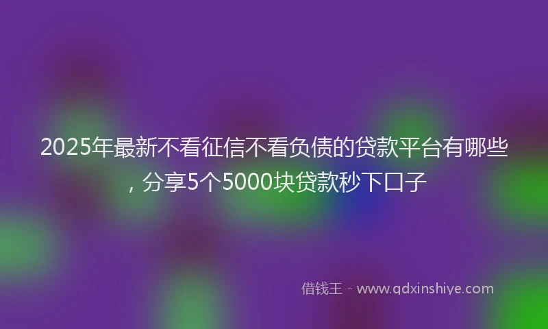 2025年最新不看征信不看负债的贷款平台有哪些，分享5个5000块贷款秒下口子