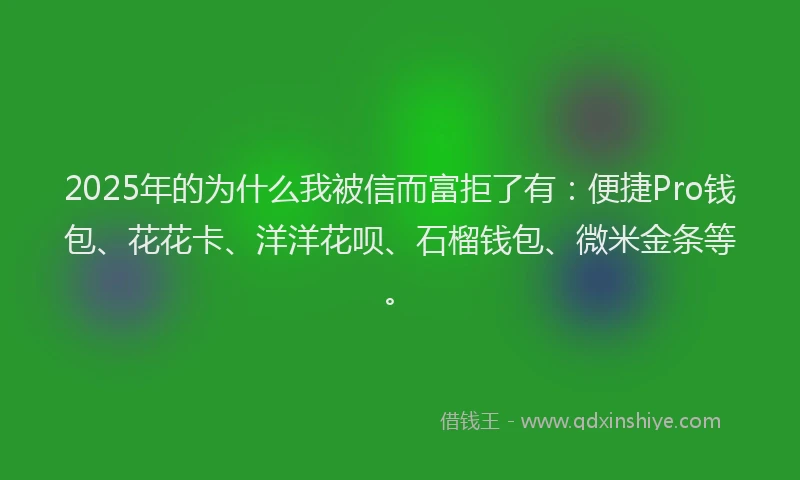 2025年的为什么我被信而富拒了有：便捷Pro钱包、花花卡、洋洋花呗、石榴钱包、微米金条等。