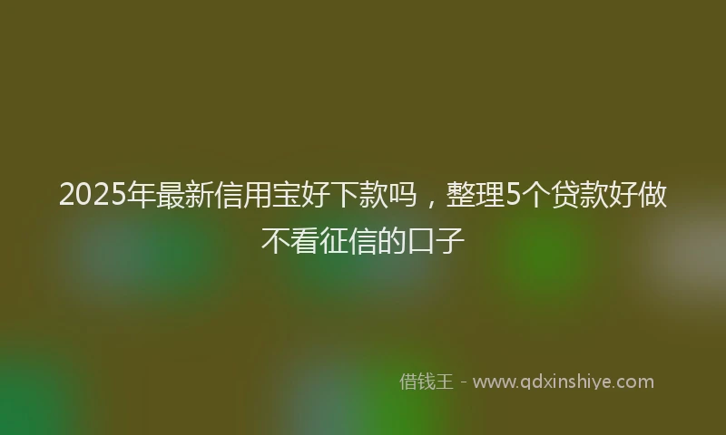 2025年最新信用宝好下款吗，整理5个贷款好做不看征信的口子