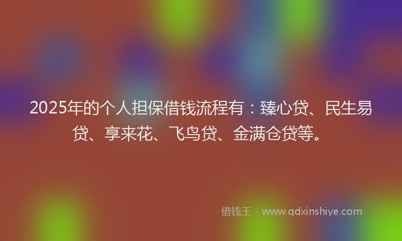 2025年的个人担保借钱流程有：臻心贷、民生易贷、享来花、飞鸟贷、金满仓贷等。