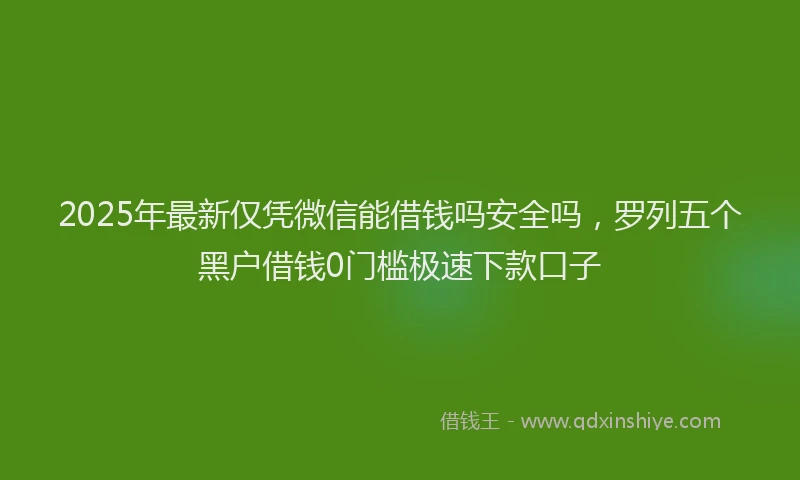 2025年最新仅凭微信能借钱吗安全吗，罗列五个黑户借钱0门槛极速下款口子
