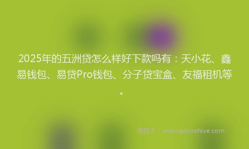 2025年的五洲贷怎么样好下款吗有：天小花、鑫易钱包、易贷Pro钱包、分子贷宝盒、友福租机等。