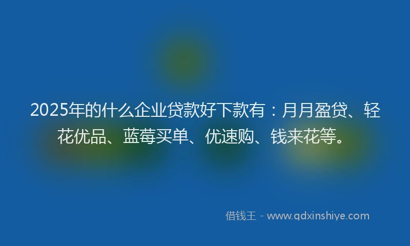 2025年的什么企业贷款好下款有：月月盈贷、轻花优品、蓝莓买单、优速购、钱来花等。