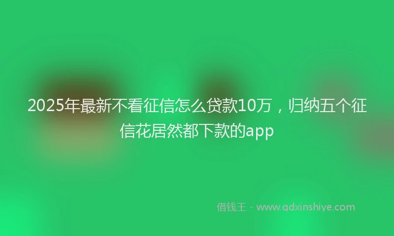2025年最新不看征信怎么贷款10万，归纳五个征信花居然都下款的app