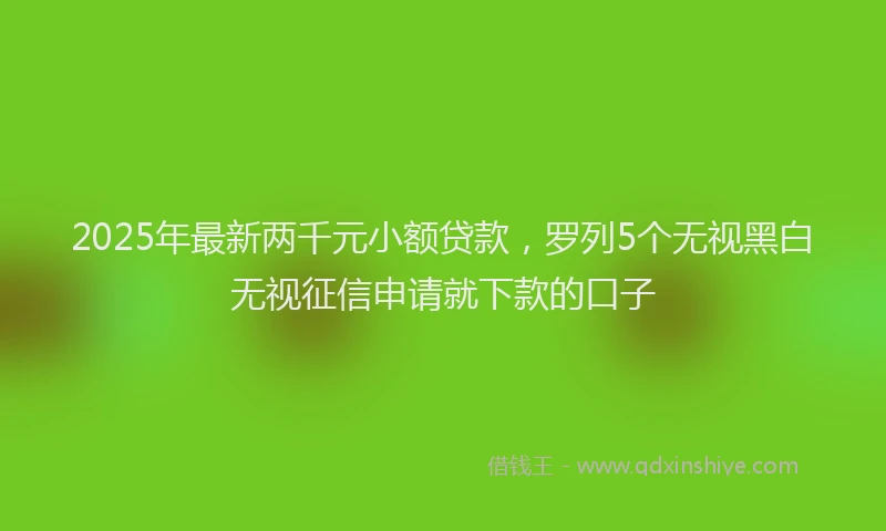 2025年最新两千元小额贷款，罗列5个无视黑白无视征信申请就下款的口子
