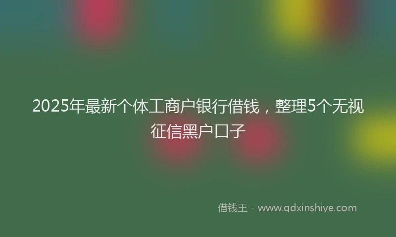 2025年最新个体工商户银行借钱，整理5个无视征信黑户口子