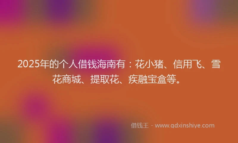 2025年的个人借钱海南有：花小猪、信用飞、雪花商城、提取花、疾融宝盒等。