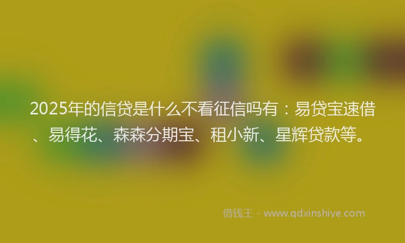2025年的信贷是什么不看征信吗有：易贷宝速借、易得花、森森分期宝、租小新、星辉贷款等。