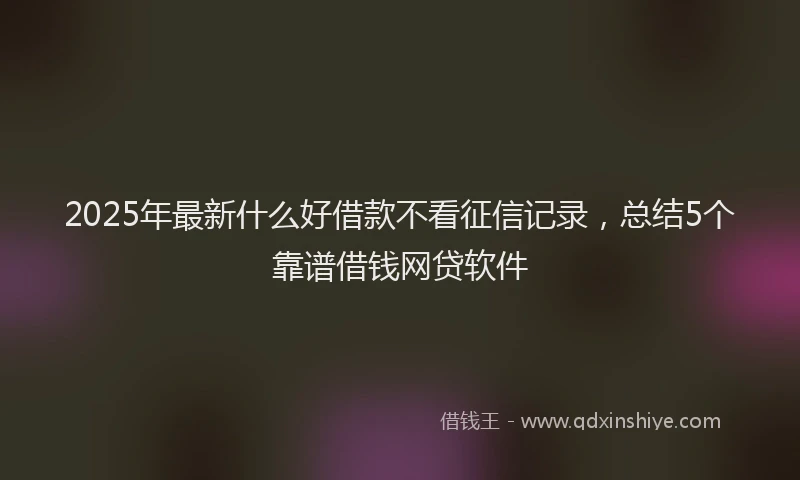 2025年最新什么好借款不看征信记录，总结5个靠谱借钱网贷软件