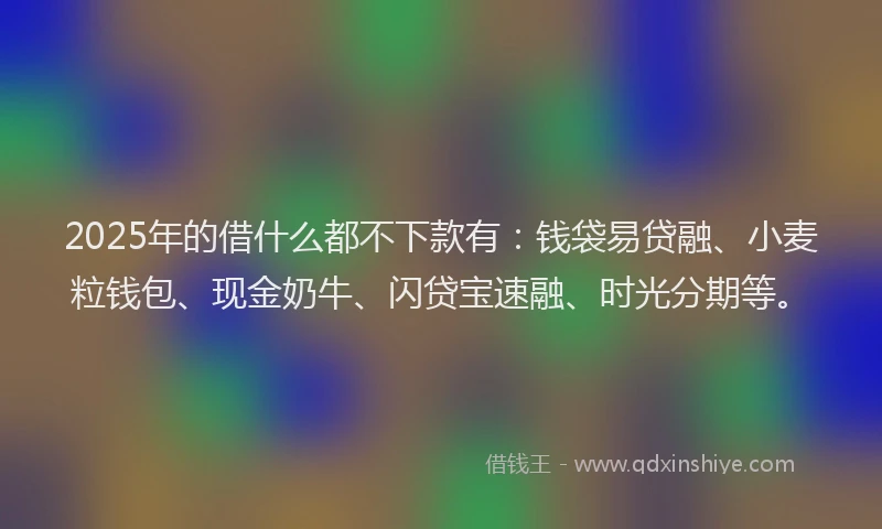 2025年的借什么都不下款有：钱袋易贷融、小麦粒钱包、现金奶牛、闪贷宝速融、时光分期等。