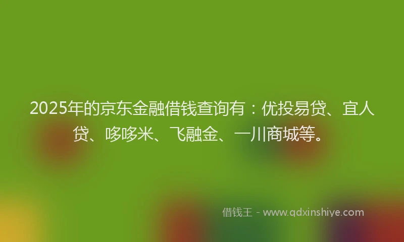 2025年的京东金融借钱查询有：优投易贷、宜人贷、哆哆米、飞融金、一川商城等。