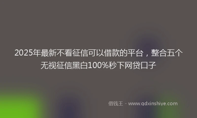2025年最新不看征信可以借款的平台，整合五个无视征信黑白100%秒下网贷口子