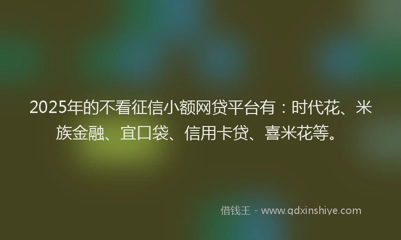 2025年的不看征信小额网贷平台有：时代花、米族金融、宜口袋、信用卡贷、喜米花等。